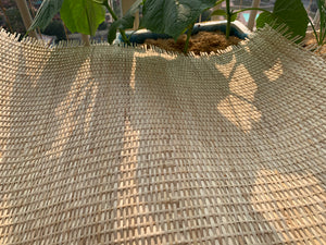 Width 18”/24” Light/Cream Closed Cane Webbing, Premium Woven Mesh For DIY Project, Cut to Feets