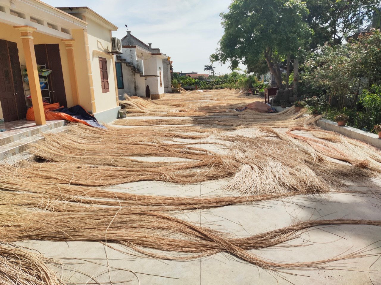 Natural Rattan Spline for Repair Chair, Rattan Furniture, Rattan Decoration